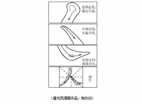 体育作文素材金句